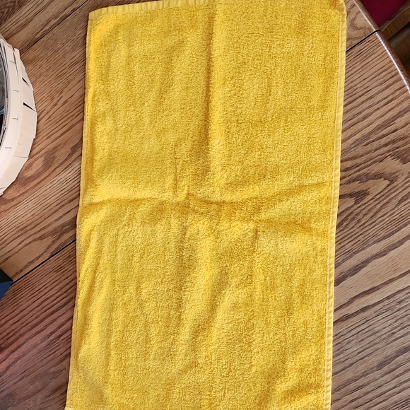 NHL Winter Classic Terrible Towel from 01/01/2011 - Picture 5 of 5